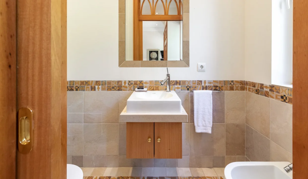 VH-R-Vouga-Norte-16-20230330-011